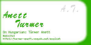 anett turmer business card